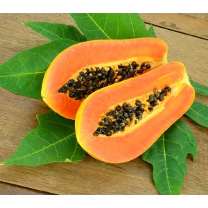 Papája Melónová (Carica papaya) - výška 50-60 cm, kont. C2L 